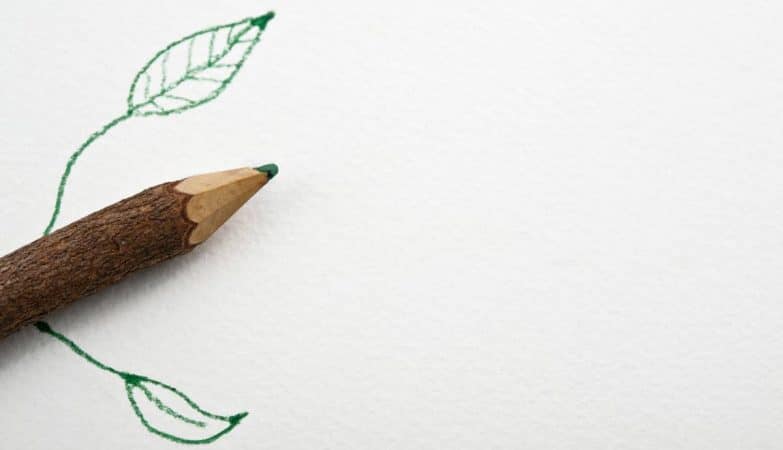 Du crayon jetable au jardin personnel : optez pour des goodies &eacute;cologiques