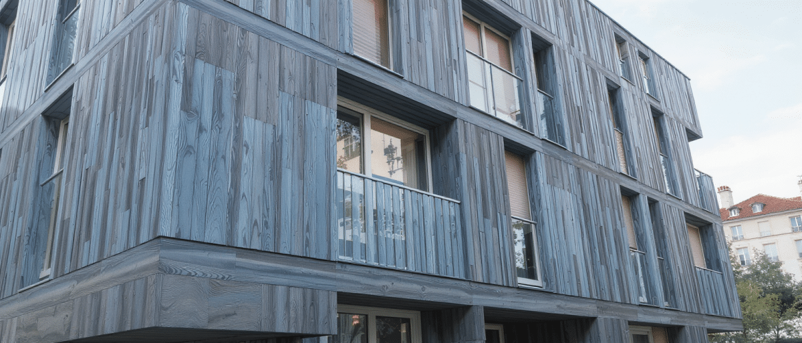 À Lyon, un projet immobilier mise sur le « bois bleu », un matériau écologique souvent ignoré à cause d’un champignon