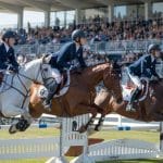 FFE SIF : gestion des licences et des comp&eacute;titions sur le portail de l’&eacute;quitation