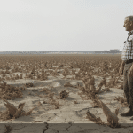 En Bretagne, la canicule plonge l&rsquo;agriculture dans la tourmente : &laquo; Un ph&eacute;nom&egrave;ne in&eacute;dit depuis 2003 &raquo;