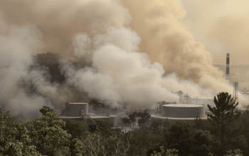 Incendie en Gironde : quand les sites Seveso se retrouvent en premi&egrave;re ligne face aux feux de for&ecirc;t